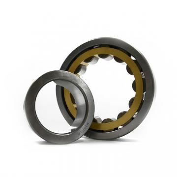 Toyana NJ5213 cylindrical roller bearings